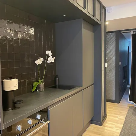 Apartment Loft & Dentelle